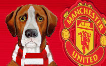 Manchester United News Hound